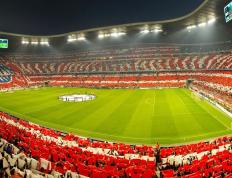 IM体育动画直播通道-格列兹曼主宰比赛走向，切尔西关键战突围新西兰—欧洲足球的战术智慧与全球影响力