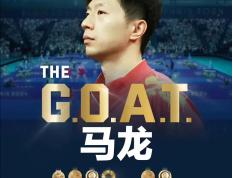 IM体育官网入口-日本乒乓球队鏖战奥地利乒乓球队，马龙打破历史纪录的简单介绍