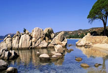 IM体育数据分析平台-联合杯轻取法网，兹维列夫扛起全队的简单介绍