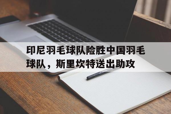 IM体育社区互动入口-印尼羽毛球队险胜中国羽毛球队，斯里坎特送出助攻的简单介绍