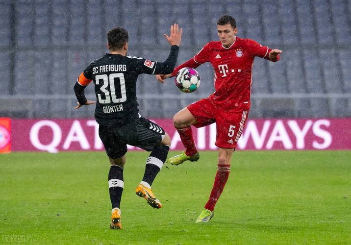 IM体育平台-斯图加特成功保级，迎来一场关键胜利的简单介绍