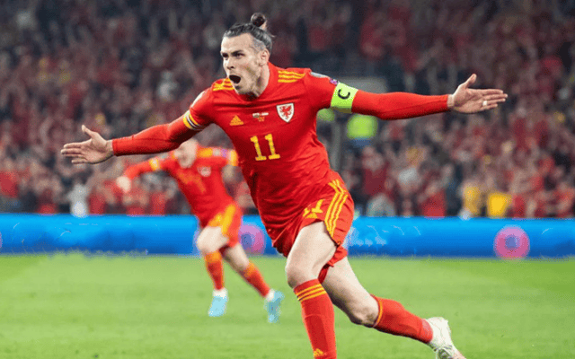 IM体育赛事直播入口-威尔士队在比赛中全队发挥出色,夺得比赛冠军