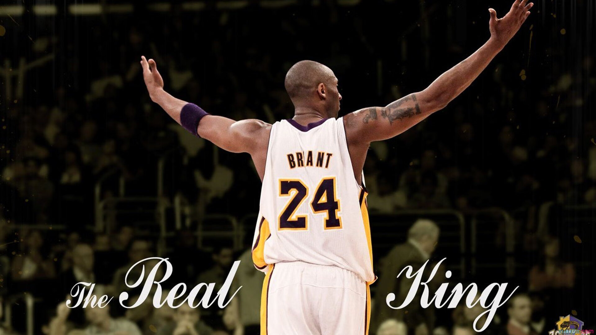 IM体育官方平台-赛道上的鹰眼，当东契奇在F1街道赛终结森林狼式防守