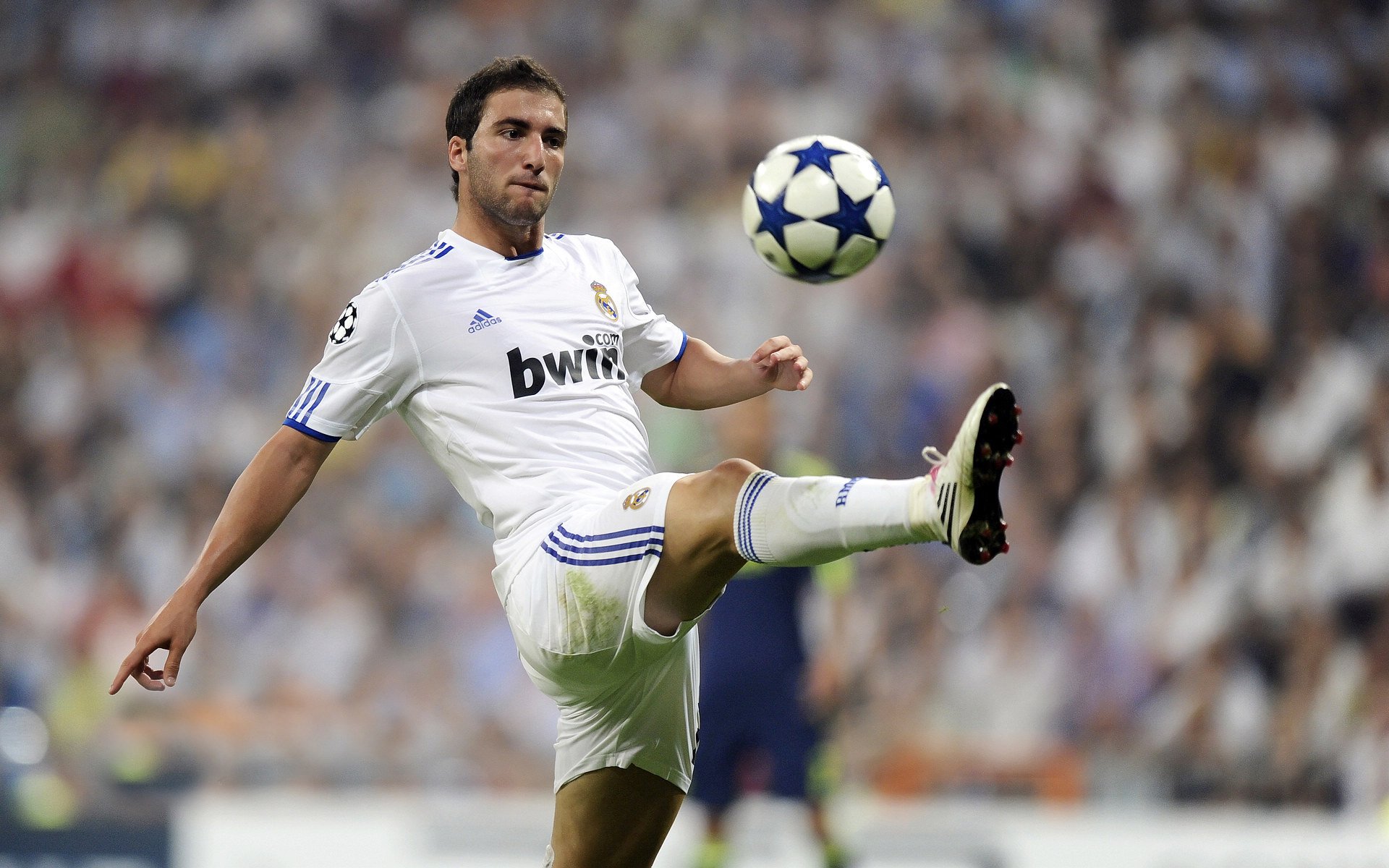 IM体育官网-赛道上的毫厘之争,索伯险胜哈斯,阿隆索惊艳全场